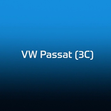VW Passat Bremsentest Video